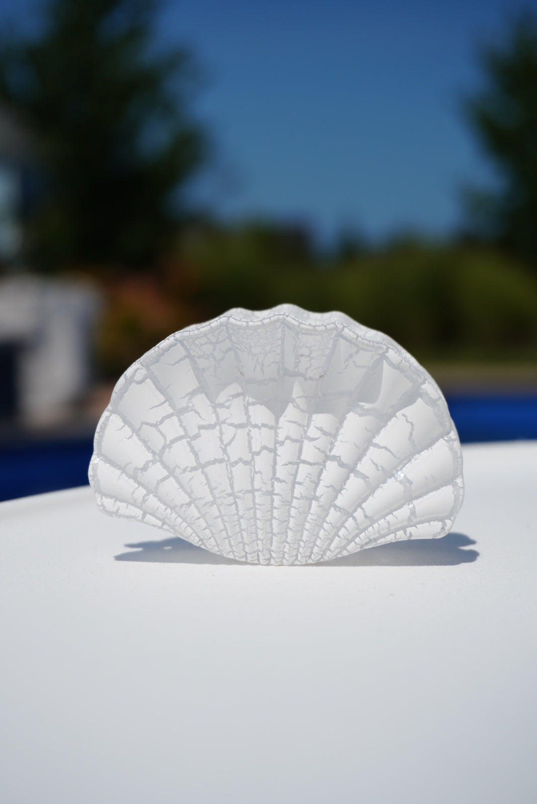 Seashell Claw Clip