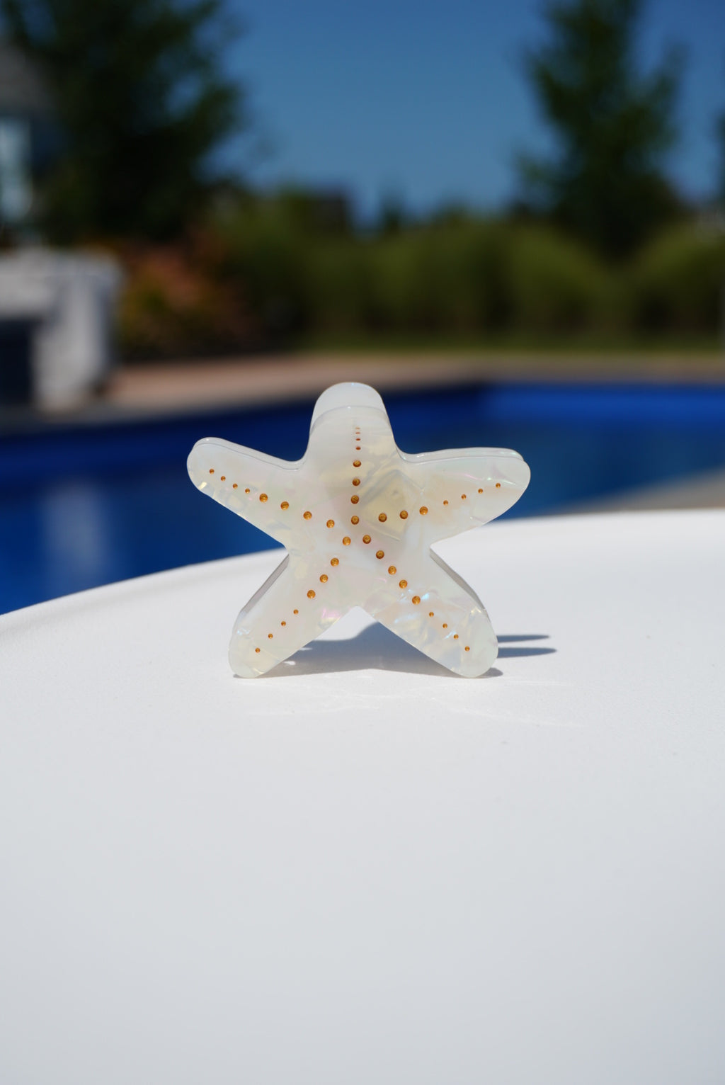 Starfish Claw Clip