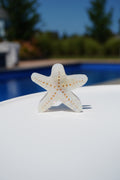 Starfish Claw Clip