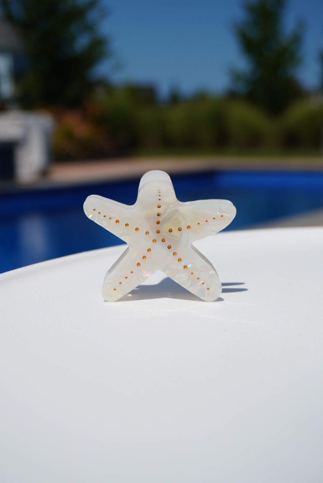 Starfish Claw Clip