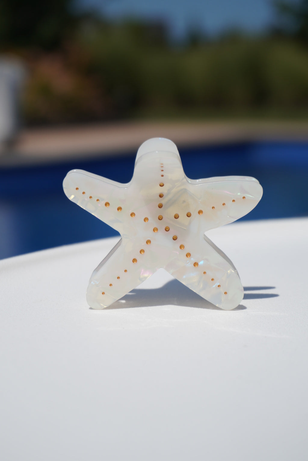 Starfish Claw Clip
