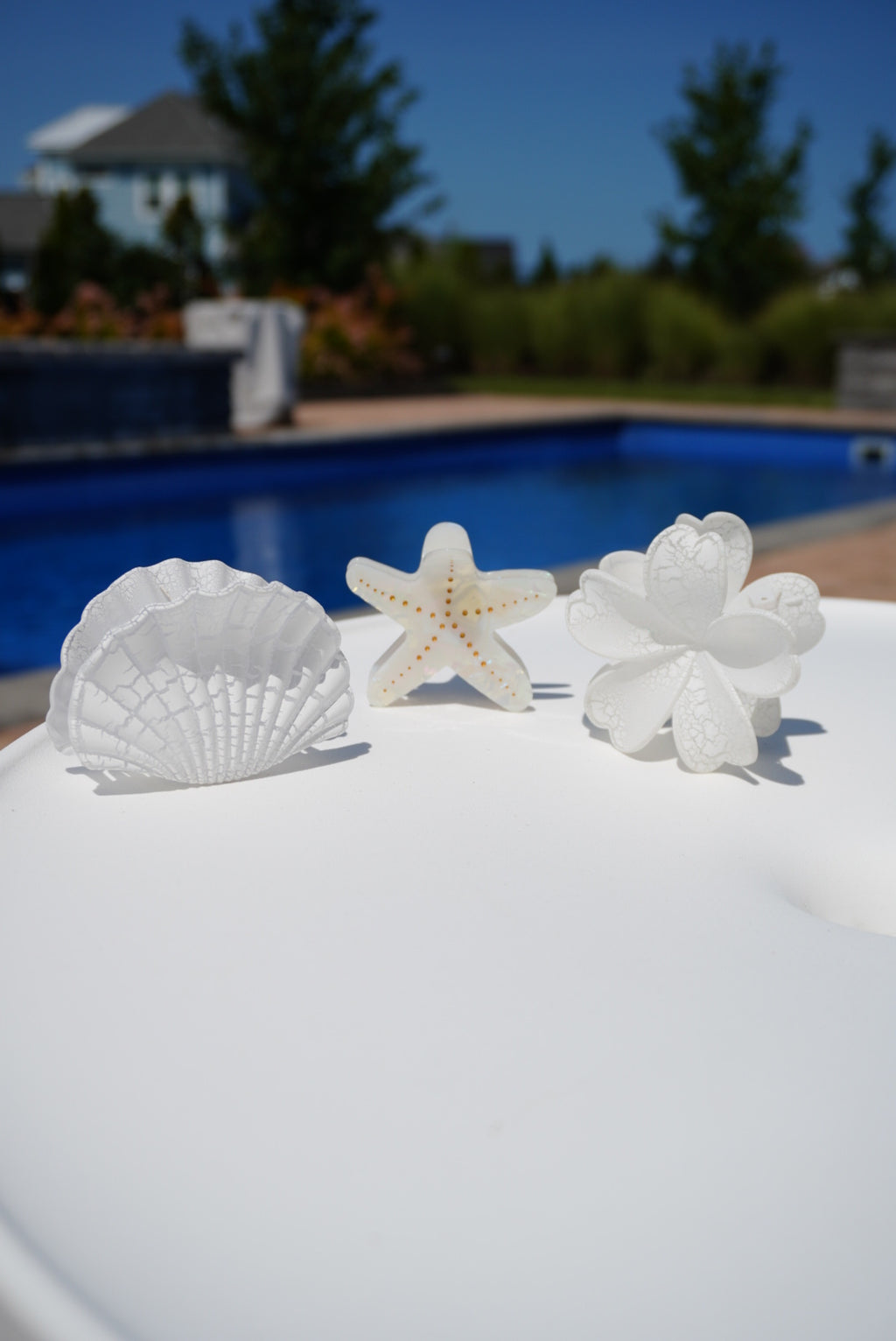 Starfish Claw Clip